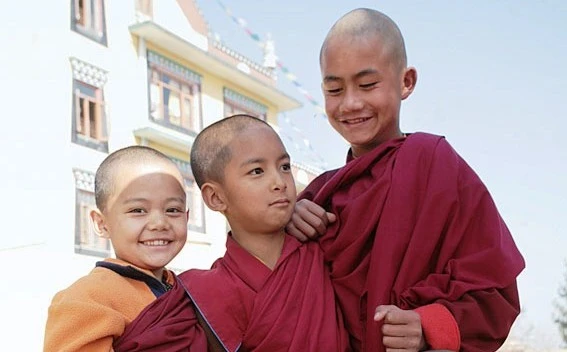 Không có cái vui nào trên đời mà hoàn hảo cả